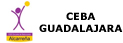 guadalajara